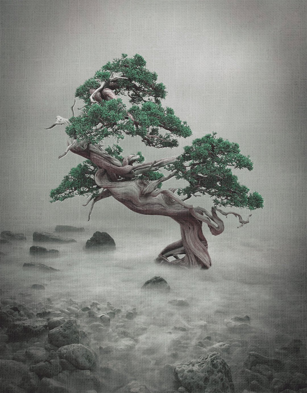 Tableau artistique "Bonsaï" représentant un Bonsai posé sur un lit de rochers et nappe de brouillard