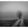 Tableau artistique Noir et Blanc "Brume dans les champs" représentant un chemin champêtre entre champs et Forêt avec une ambiance brumeuse.