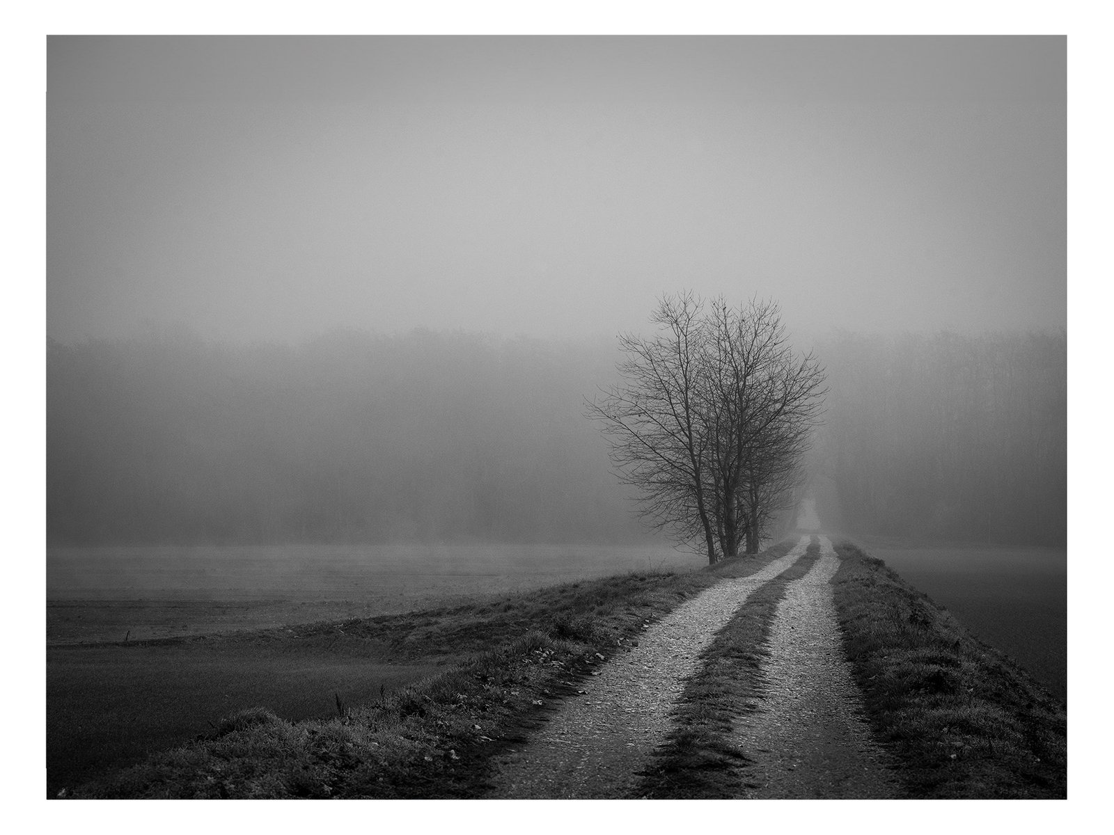 Tableau artistique Noir et Blanc "Brume dans les champs" représentant un chemin champêtre entre champs et Forêt avec une ambiance brumeuse.